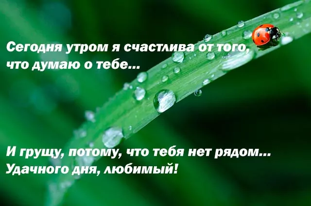 с добрым утром